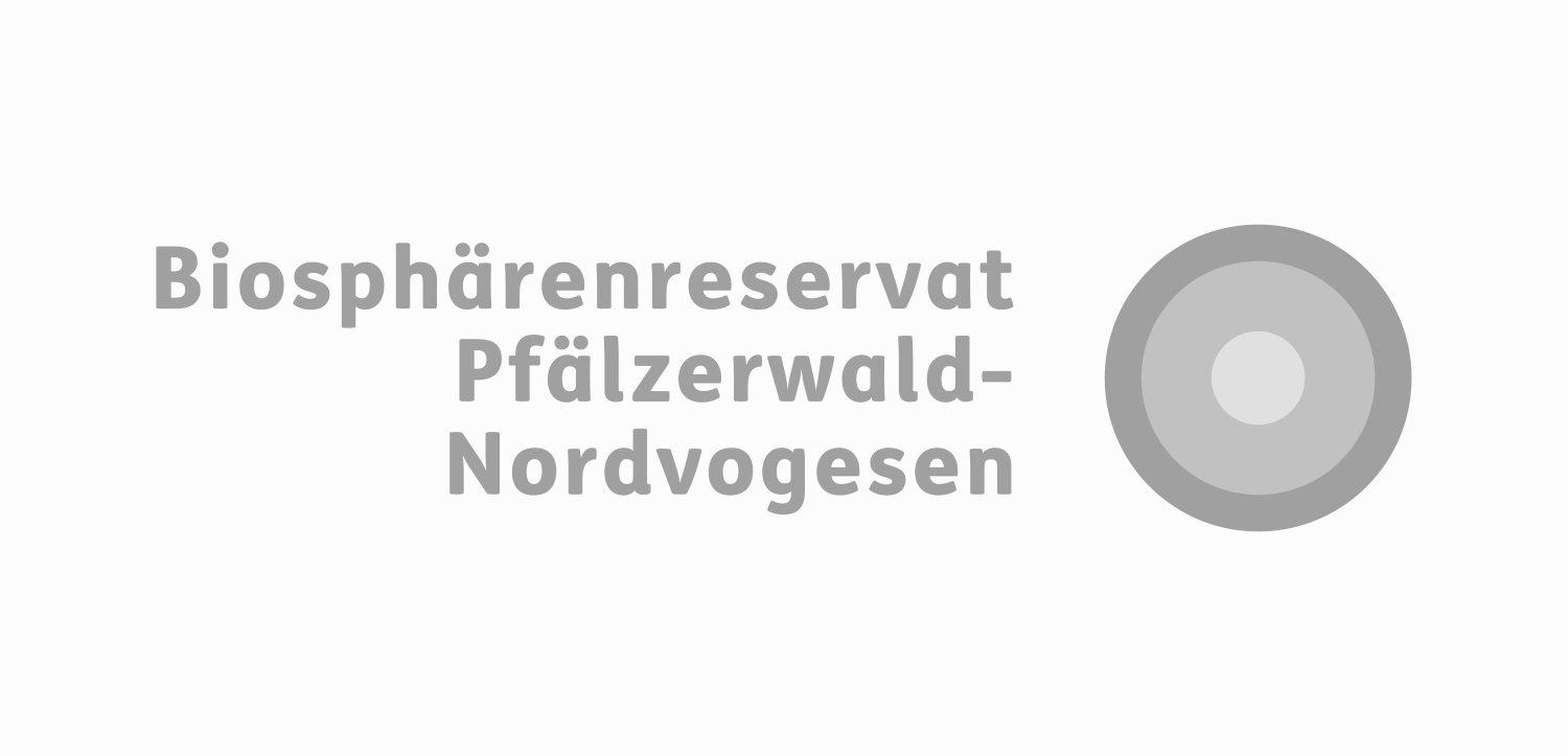 Pfaelzerwald-2